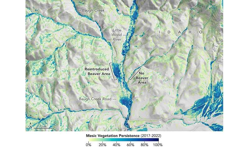 NASA Verileriyle Kunduz Restorasyonu