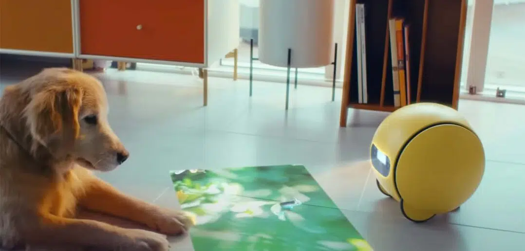 Samsung Ballie: Yeni AI Arkadaşınız