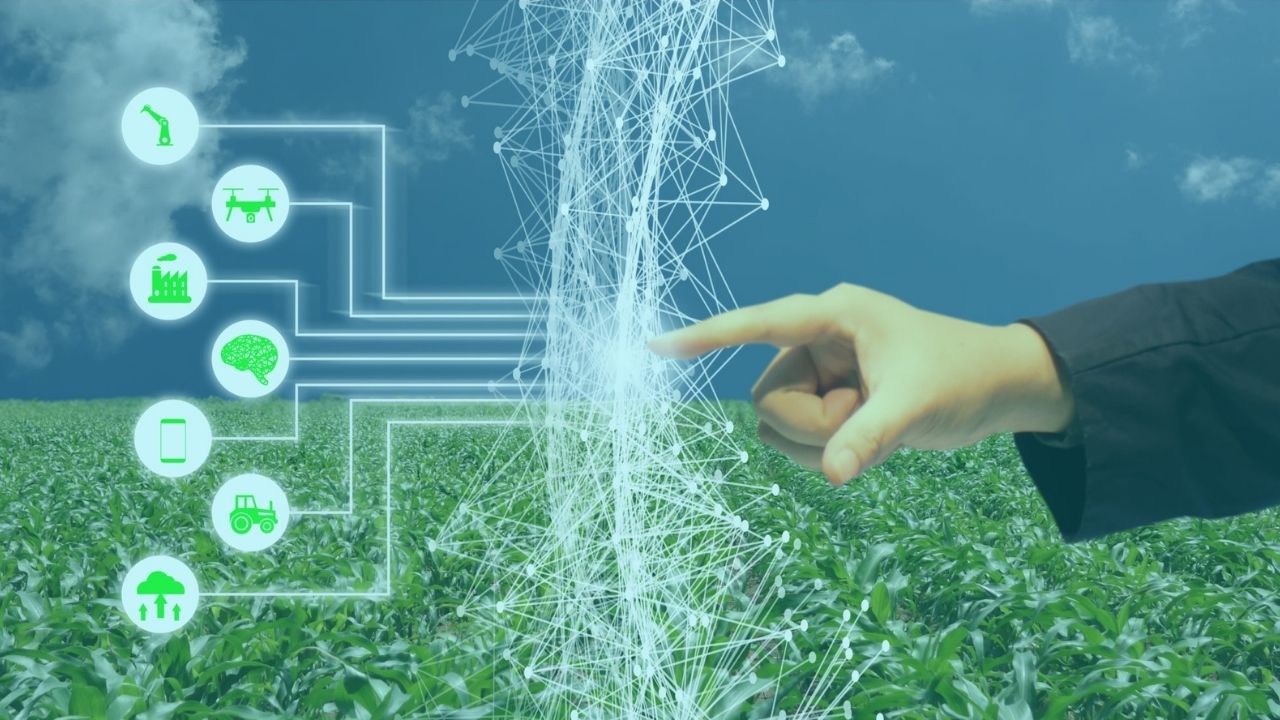 Tarımda Yapay Zeka: Verimi ve Kaliteyi Nasıl Artırır?