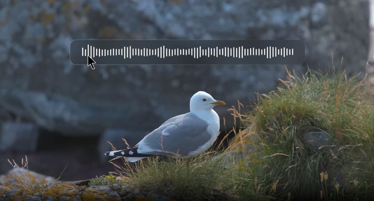 Doğallık ve Mekansal Akustik Farkındalık